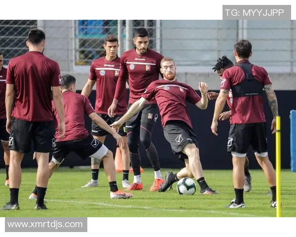 巴拉圭与委内瑞拉激战在即球迷期待精彩对决与精彩进球