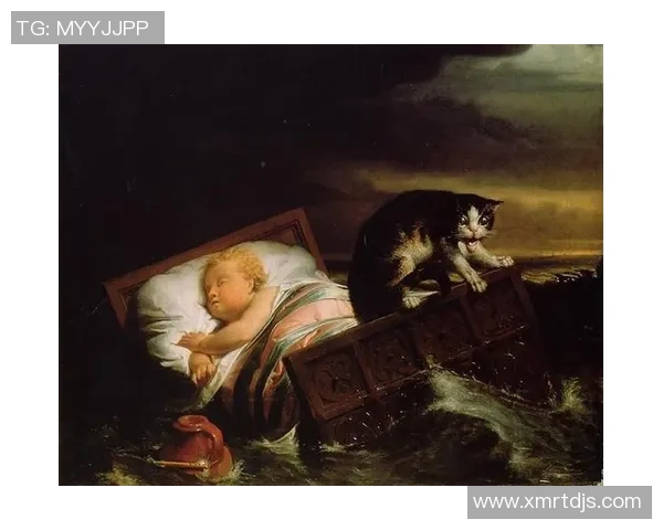 神秘人如何在阳光下揭开隐藏的秘密与真相的较量