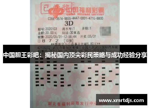 中国胆王彩吧：揭秘国内顶尖彩民策略与成功经验分享