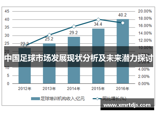 中国足球市场发展现状分析及未来潜力探讨